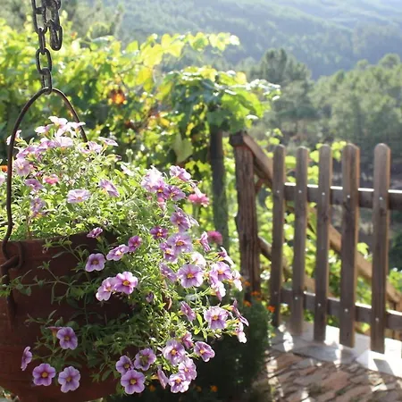 Retiro Do Appartement